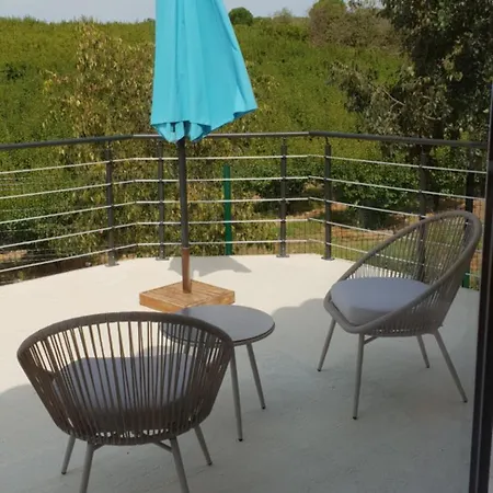Villa En Camargue Jolie Vue Piscine Clim