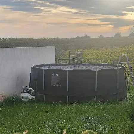 En Camargue Jolie Vue Piscine Clim Villa